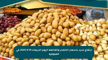 ارتفاع جديد بأسعار الخضار والفاكهة اليوم الأربعاء 10-9-2025 في المنوفية